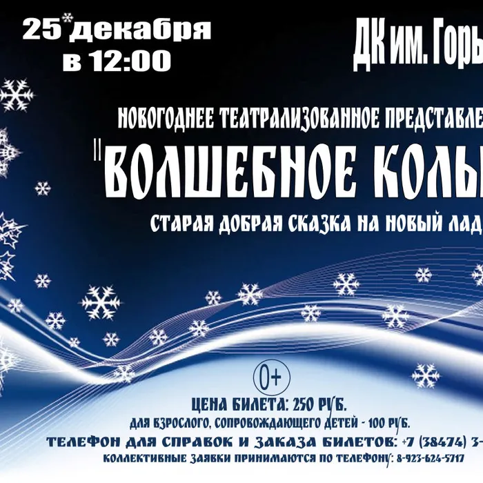 Новогоднее представление