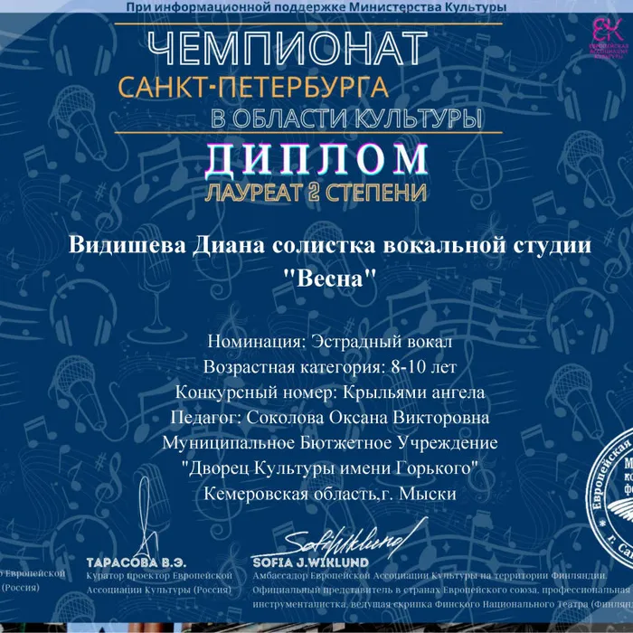 Чемпионат Санкт-Петербурга в области культуры